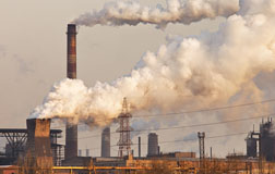 Venta de bonos de carbono Negocio Ambiental